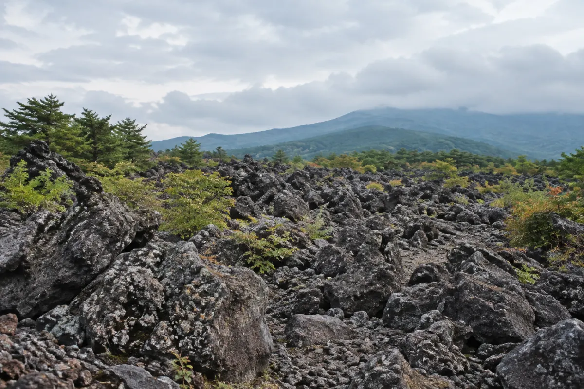 黒い火山岩と周囲の植生を描いた、北東北の火山地形に着想した生成イメージ。